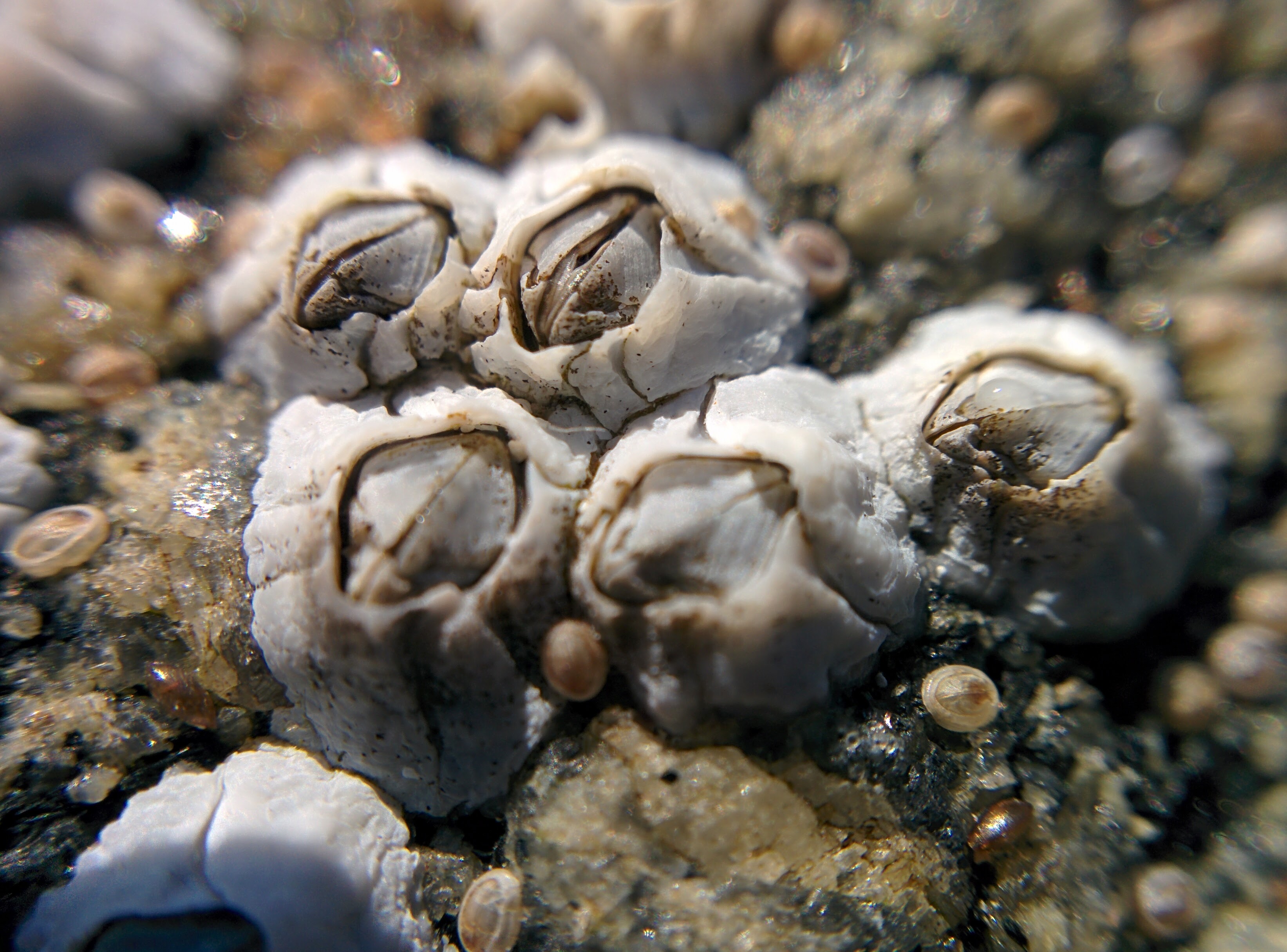 IMG\_20160522\_104801