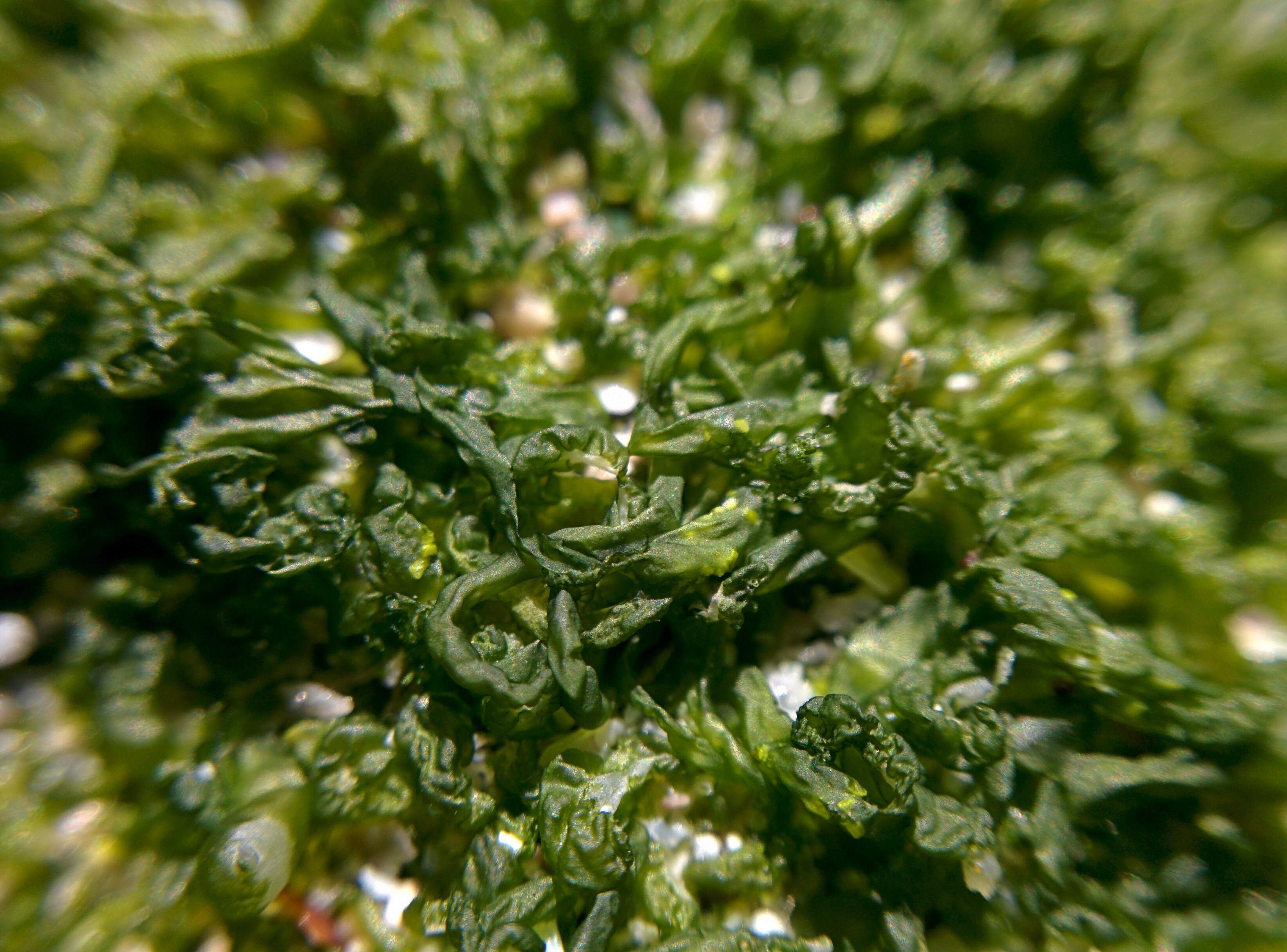 IMG\_20160522\_110355