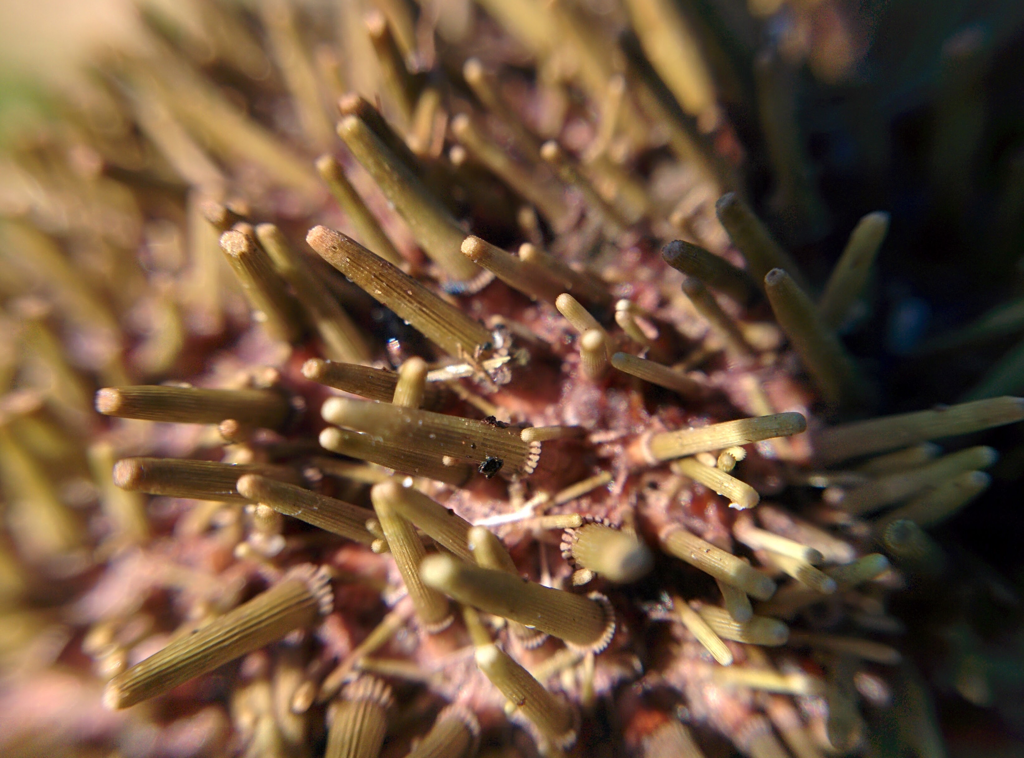 IMG\_20160522\_110506