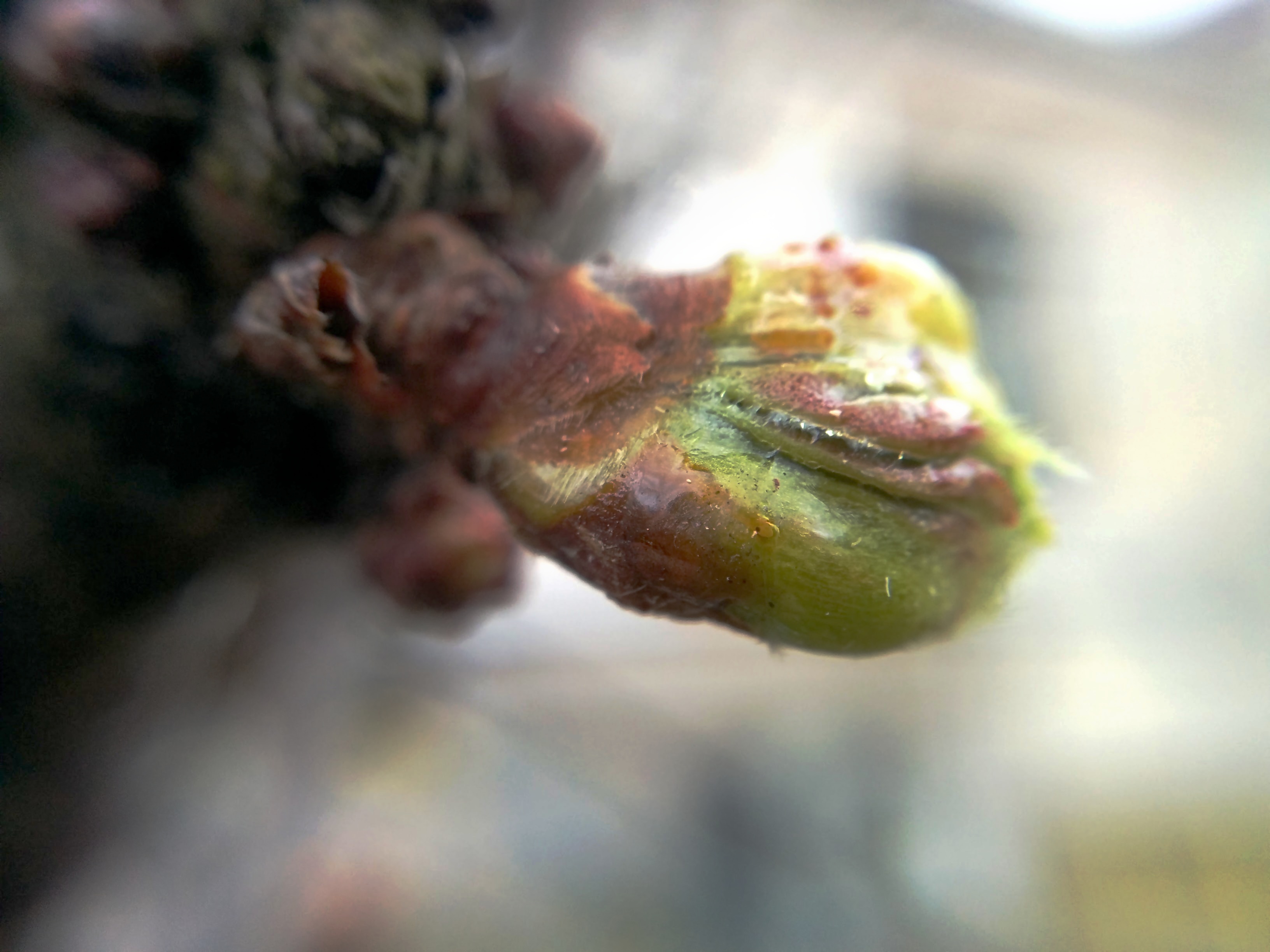 img_20160511_174328-0