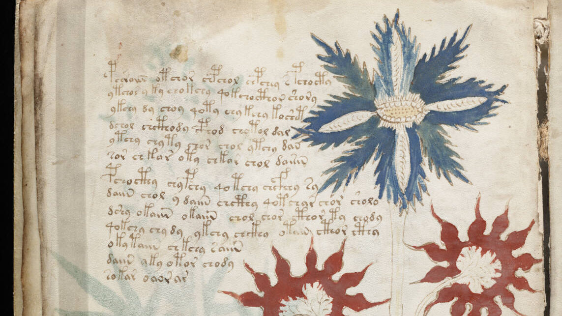 Really old manuscript containing some scribbling and illustrations.